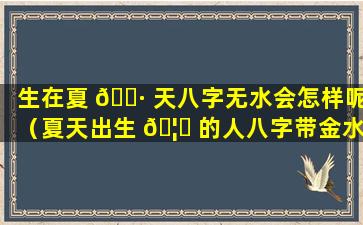 生在夏 🕷 天八字无水会怎样呢（夏天出生 🦟 的人八字带金水）